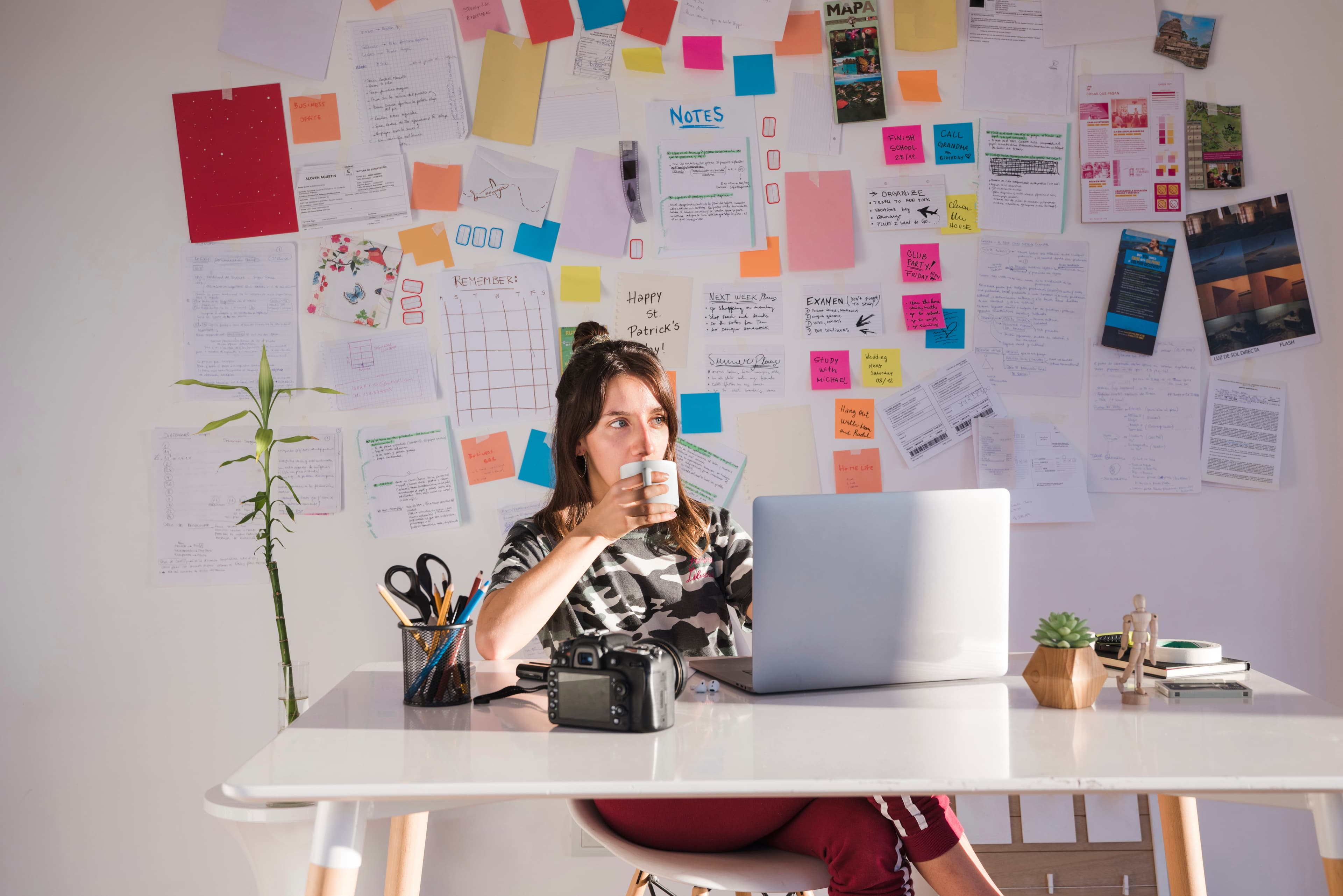 Content Creation Services