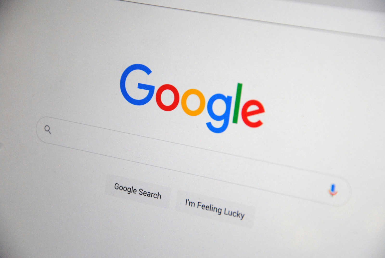Search Engine Visibility